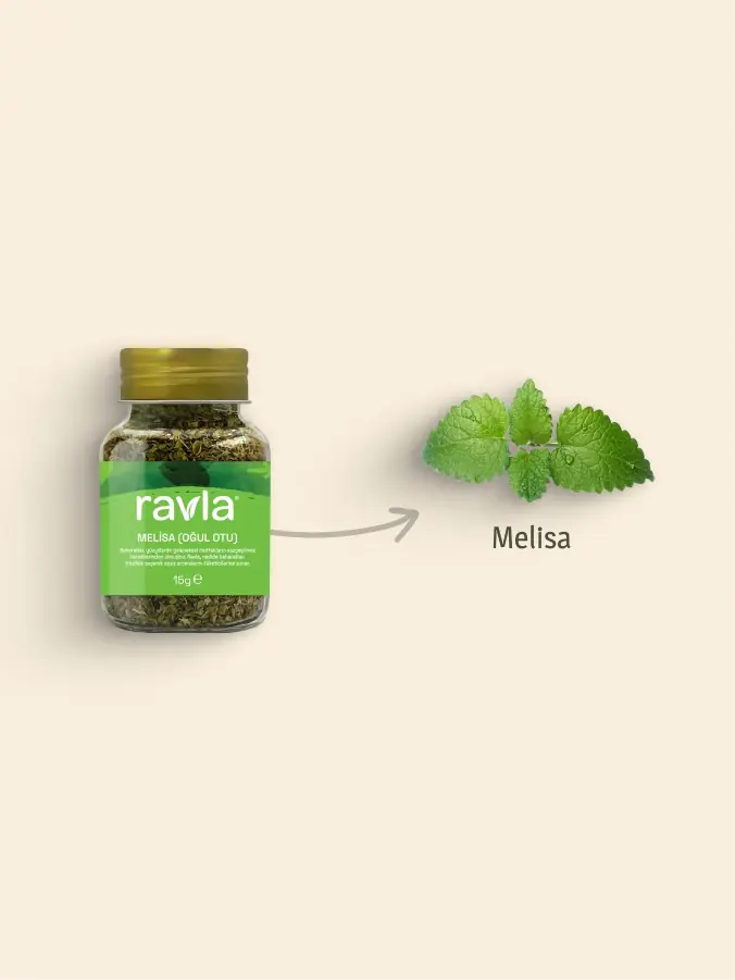 Ravla Melisa (Oğul Otu)- 15g